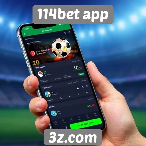 Opções de pagamento disponíveis no 114bet app